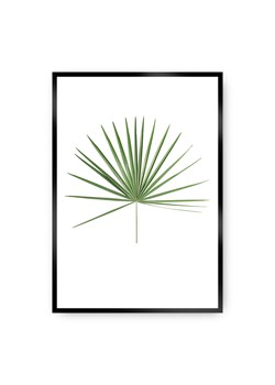 Plakat Tropical Leaf Green ze sklepu dekoria.pl w kategorii Obrazy - zdjęcie 172474262