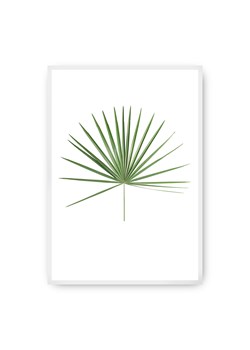 Plakat Tropical Leaf Green ze sklepu dekoria.pl w kategorii Obrazy - zdjęcie 172474264