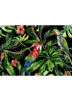 Obraz na płótnie Tropical Birds ze sklepu dekoria.pl w kategorii Obrazy - zdjęcie 172474303