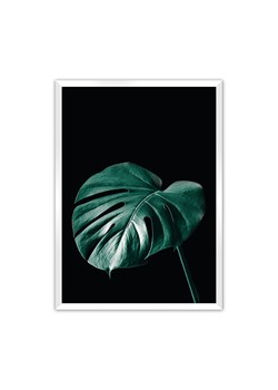 Plakat Dark Monstera ze sklepu dekoria.pl w kategorii Obrazy - zdjęcie 172476782