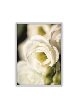 Plakat Flower Wall ze sklepu dekoria.pl w kategorii Obrazy - zdjęcie 172476792