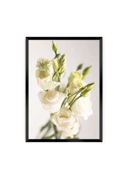 Plakat Elegant Flowers ze sklepu dekoria.pl w kategorii Obrazy - zdjęcie 172476813