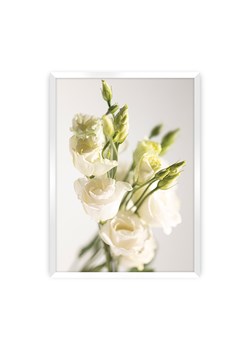 Plakat Elegant Flowers ze sklepu dekoria.pl w kategorii Obrazy - zdjęcie 172476822