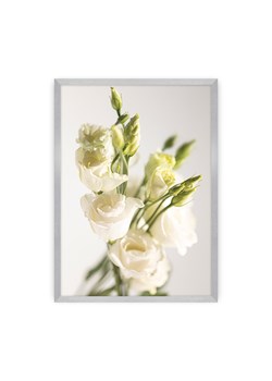 Plakat Elegant Flowers ze sklepu dekoria.pl w kategorii Obrazy - zdjęcie 172476823