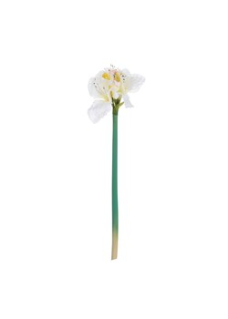 Kwiat Amaryllis White 75cm ze sklepu dekoria.pl w kategorii Dekoracje - zdjęcie 172477451