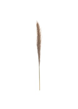 Gałązka Pampas Grass 130cm ze sklepu dekoria.pl w kategorii Dekoracje - zdjęcie 172483064