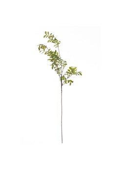 Gałązka Green Twig 100cm ze sklepu dekoria.pl w kategorii Dekoracje - zdjęcie 172486220