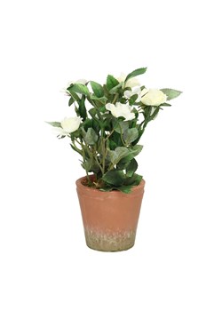 Dekoracja White Rose 24cm ze sklepu dekoria.pl w kategorii Dekoracje - zdjęcie 172486484