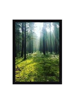Obraz Green Forest 30x40cm ze sklepu dekoria.pl w kategorii Obrazy - zdjęcie 172528540