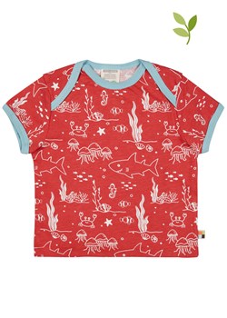 loud + proud Koszulka w kolorze czerwonym ze sklepu Limango Polska w kategorii Odzież dla niemowląt - zdjęcie 172646702