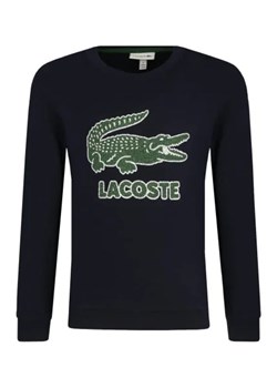 Lacoste Bluza | Regular Fit ze sklepu Gomez Fashion Store w kategorii Bluzy chłopięce - zdjęcie 172937213