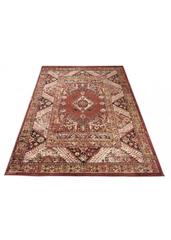 Brązowy dywan orientalny - Ormis 7X ze sklepu Edinos.pl w kategorii Dywany - zdjęcie 173300490