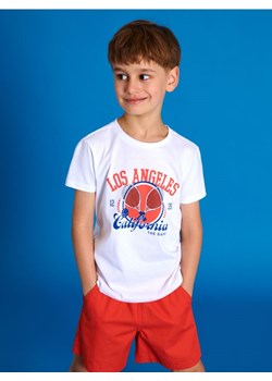 Sinsay - Koszulki 3 pack - wielobarwny ze sklepu Sinsay w kategorii T-shirty chłopięce - zdjęcie 173361304