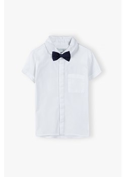 Koszula klasyczna biała z granatową muszką - krótki rękaw ze sklepu 5.10.15 w kategorii Koszule chłopięce - zdjęcie 173435591