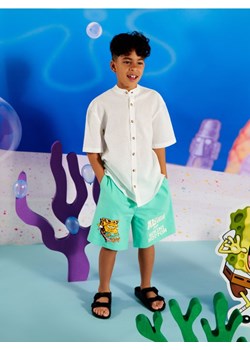 Sinsay - Szorty SpongeBob - zielony ze sklepu Sinsay w kategorii Spodenki chłopięce - zdjęcie 173458114