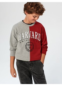 Sinsay - Bluza Harvard - wielobarwny ze sklepu Sinsay w kategorii Bluzy chłopięce - zdjęcie 173462941