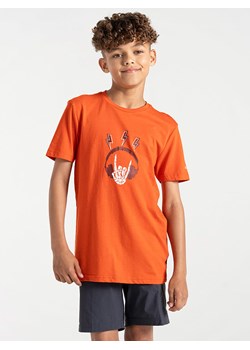 Dare 2b Koszulka &quot;Trailblazer II&quot; w kolorze pomarańczowym ze sklepu Limango Polska w kategorii T-shirty chłopięce - zdjęcie 173480344