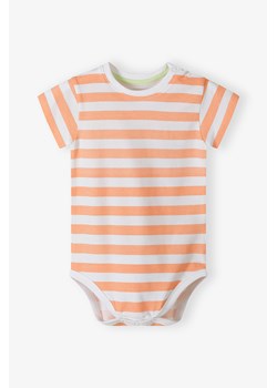 Body z krótkim rękawem - białe w pomarańczowe paski - 5.10.15. ze sklepu 5.10.15 w kategorii Odzież dla niemowląt - zdjęcie 173499481