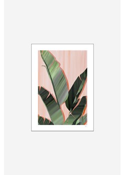 H & M - Violets Print House - Banana Leaves - Biały ze sklepu H&M w kategorii Plakaty - zdjęcie 173540091