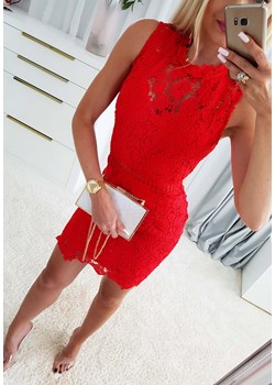 Sukienka Koronkowa Luisa Czerwona, rozmiar S ze sklepu Iwette Fashion w kategorii Sukienki - zdjęcie 173552811
