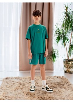 Sinsay - Koszulka z nadrukiem - zielony ze sklepu Sinsay w kategorii T-shirty chłopięce - zdjęcie 173576021