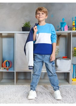 Sinsay - Bluza - wielobarwny ze sklepu Sinsay w kategorii Bluzy chłopięce - zdjęcie 173576041