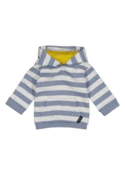 Sterntaler Bluza w kolorze szarym ze sklepu Limango Polska w kategorii Odzież dla niemowląt - zdjęcie 173593791