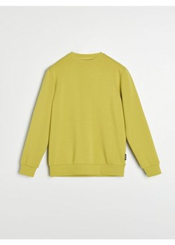 Sinsay - Bluza - zielony ze sklepu Sinsay w kategorii Bluzy męskie - zdjęcie 173640631