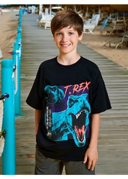 Sinsay - Koszulka Jurassic Park - czarny ze sklepu Sinsay w kategorii T-shirty chłopięce - zdjęcie 173675653