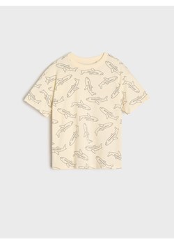Sinsay - Koszulka - kremowy ze sklepu Sinsay w kategorii T-shirty chłopięce - zdjęcie 173699050