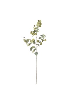 Gałązka Eukaliptusa 90cm light green ze sklepu dekoria.pl w kategorii Dekoracje - zdjęcie 173708013