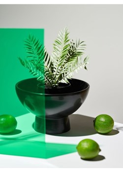 Sinsay - Roślina ozdobna - zielony ze sklepu Sinsay w kategorii Dekoracje - zdjęcie 173715344
