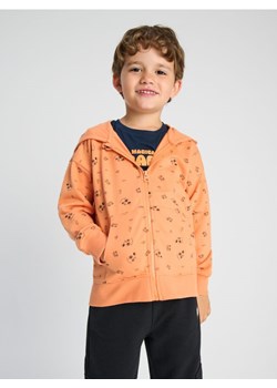 Sinsay - Bluza - pomarańczowy ze sklepu Sinsay w kategorii Bluzy chłopięce - zdjęcie 173792593