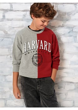 Sinsay - Bluza Harvard - wielobarwny ze sklepu Sinsay w kategorii Bluzy chłopięce - zdjęcie 173810934