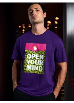 Sinsay - Koszulka - fioletowy ze sklepu Sinsay w kategorii T-shirty męskie - zdjęcie 173811014