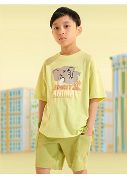 Sinsay - Komplet: koszulka i szorty - zielony ze sklepu Sinsay w kategorii Komplety chłopięce - zdjęcie 173811123