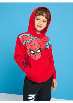 Sinsay - Komplet dresowy Spiderman - czerwony ze sklepu Sinsay w kategorii Dresy chłopięce - zdjęcie 173875693