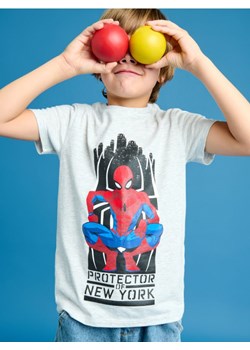 Sinsay - Koszulki Spiderman 2 pack - wielobarwny ze sklepu Sinsay w kategorii T-shirty chłopięce - zdjęcie 173875703
