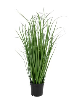 House Nordic Sztuczna trawa Poa - wys. 68 cm ze sklepu Limango Polska w kategorii Doniczki i osłonki - zdjęcie 173901882