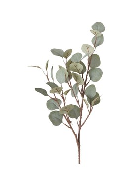 Boltze Dekoracyjna gałązka &quot;Eukalyptus&quot; w kolorze zielonym - dł. 69 cm ze sklepu Limango Polska w kategorii Doniczki i osłonki - zdjęcie 173906973