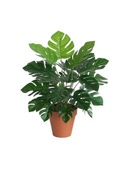 House Nordic Sztuczna roślina w kolorze ciemnozielonym - wys. 45 cm ze sklepu Limango Polska w kategorii Doniczki i osłonki - zdjęcie 174047971