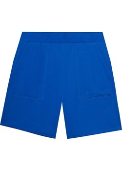 Spodenki męskie 4FWSS24TSHOM330 4F ze sklepu SPORT-SHOP.pl w kategorii Spodenki męskie - zdjęcie 174425601