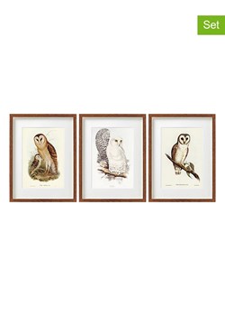 SiL Interiors Druki artystyczne (3 szt.) &quot;Owls&quot; w kolorze brązowym w ramce - 40 x 30 cm ze sklepu Limango Polska w kategorii Obrazy - zdjęcie 174595274