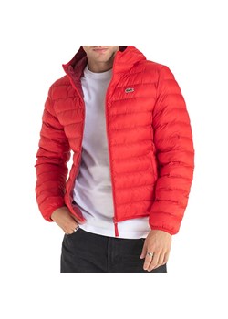 Kurtka Lacoste Parkas & Blousons BH0539-240 - czerwona ze sklepu streetstyle24.pl w kategorii Kurtki męskie - zdjęcie 174609934