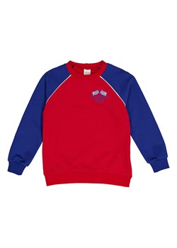 Fred´s World by GREEN COTTON Bluza &quot;Racing&quot; w kolorze czerwono-niebieskim ze sklepu Limango Polska w kategorii Bluzy chłopięce - zdjęcie 174776183