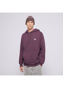 DICKIES BLUZA Z KAPTUREM SUMMERDALE HOODIE ze sklepu Sizeer w kategorii Bluzy męskie - zdjęcie 174948181