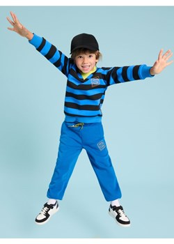 Sinsay - Bluza - wielobarwny ze sklepu Sinsay w kategorii Bluzy chłopięce - zdjęcie 175004100