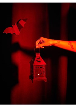 Sinsay - Lampion dekoracyjny Halloween - czarny ze sklepu Sinsay w kategorii Lampiony i lampki - zdjęcie 175172882