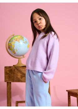 Sinsay - Sweter - fioletowy ze sklepu Sinsay w kategorii Swetry dziewczęce - zdjęcie 175242934