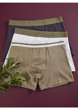 Sinsay - Bokserki 3 pack - wielobarwny ze sklepu Sinsay w kategorii Majtki męskie - zdjęcie 175327713